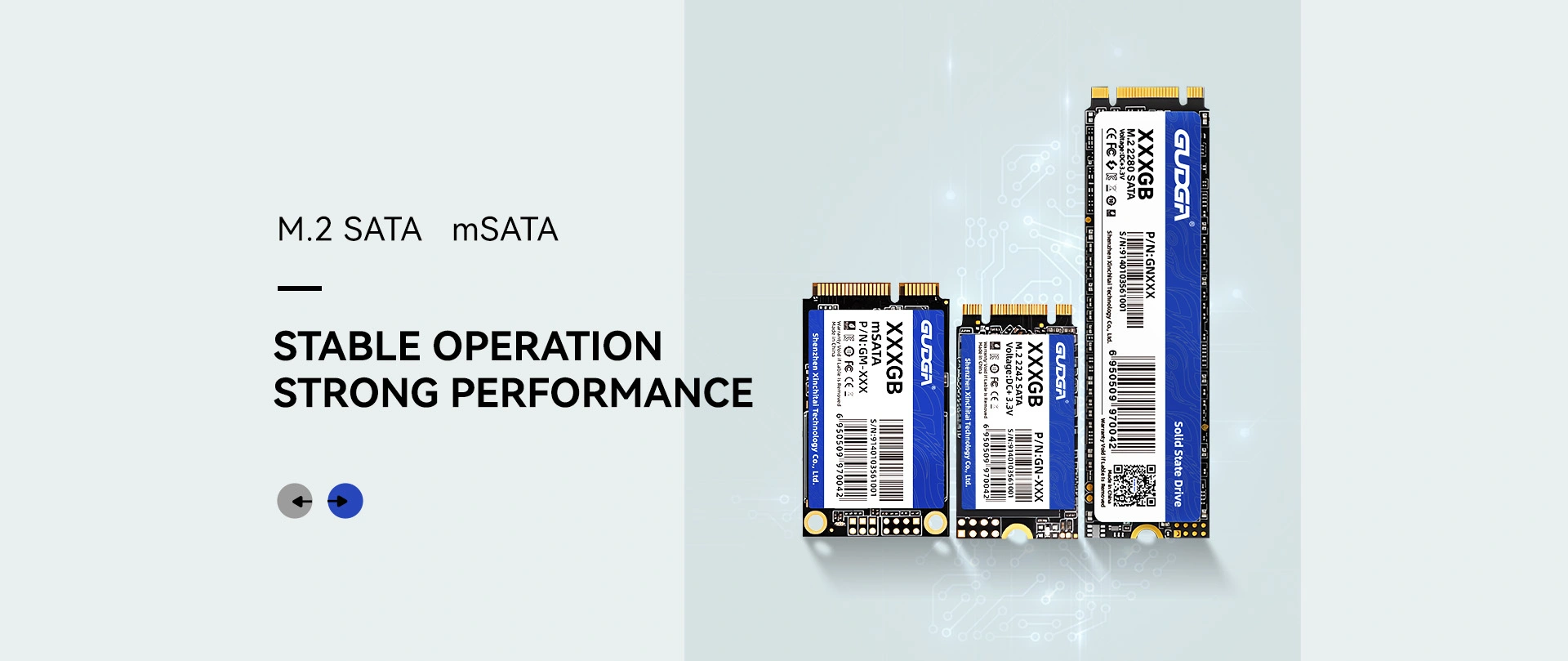 Κίνα Έκπτωση M.2 SATA SSD Κατασκευαστής